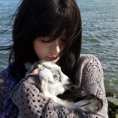 我在岛屿读书